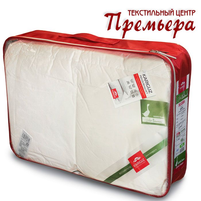 Bio Down зимнее (200x220)